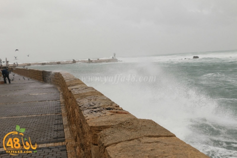 حالة الطقس: انخفاض على درجات الحرارة وأمطار غزيرة 